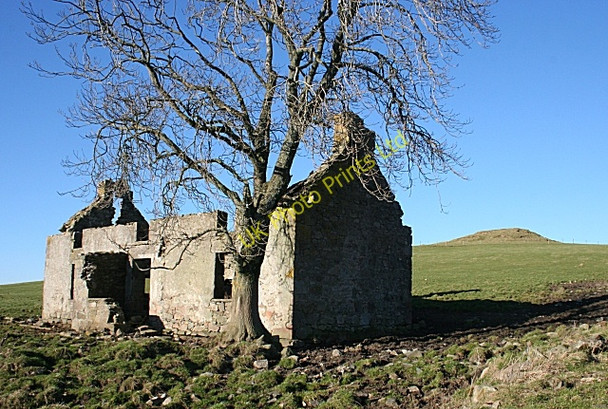 Photo 6"x4" Ruin at Cairnmore Ardonald c2008