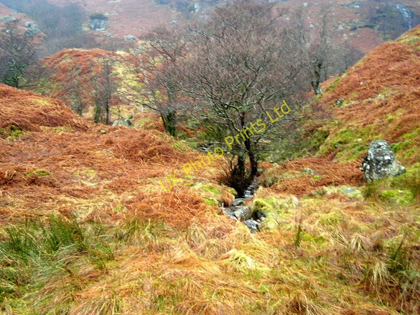 Photo 6"x4" A Burn in Glen Gyle Glengyle Water c2008