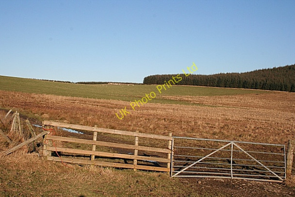 Photo 6"x4" Track to Blackhill Ardonald c2008