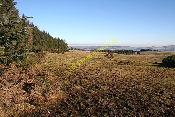 Photo 6"x4" From the Forest Edge Cairnie\/NJ4844 c2008