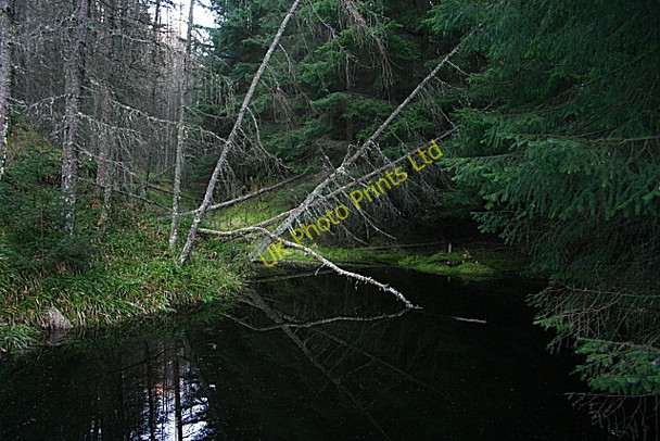 Photo 6"x4" Pool on Herricks Burn Blackhillock\/NJ4348 c2008