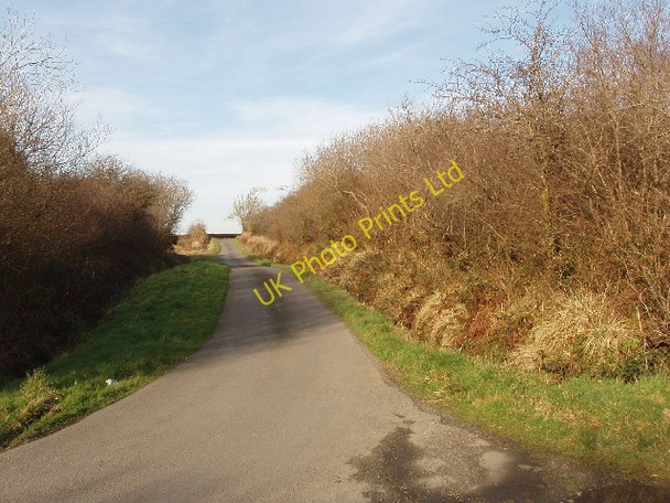 Photo 6"x4" Road by Clifford Plantation Clifford\/SS3021 c2008
