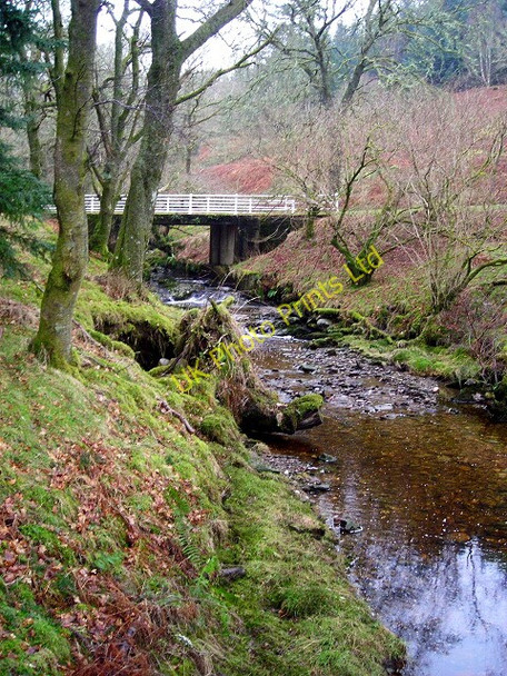 Photo 6"x4" Schoolhouse Burn Near Loch Katrine Stronachlachar c2008