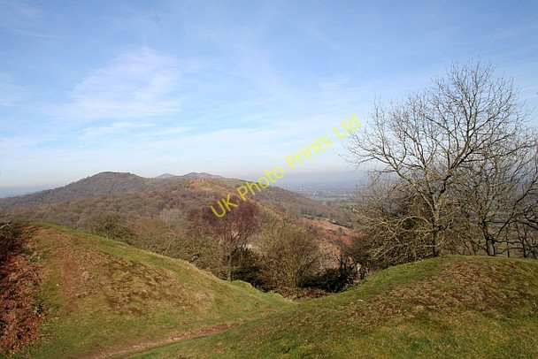 Photo 6"x4" North Gate, Midsummer Hill Hollybush\/SO7636 c2008