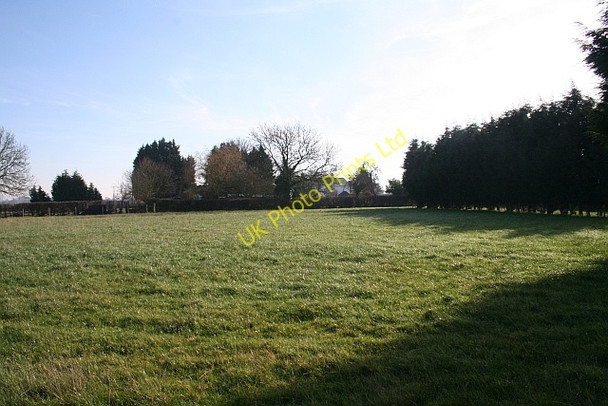Photo 6"x4" Hedged Field Duckswich c2008