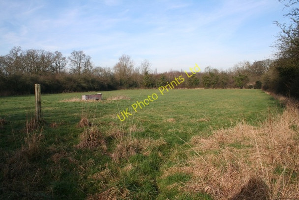 Photo 6"x4" Small Pasture Duckswich c2008