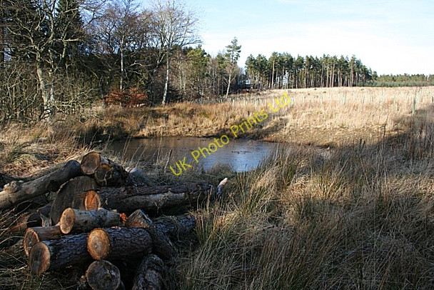 Photo 6"x4" Frozen Pond Nethermills c2008