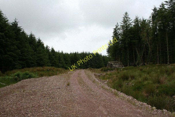 Photo 6"x4" South Kintyre Forestry Road. Balnabraid Glen c2007