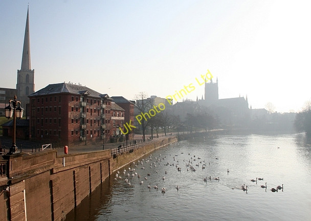 Photo 6"x4" Swan Sanctuary Worcester c2008