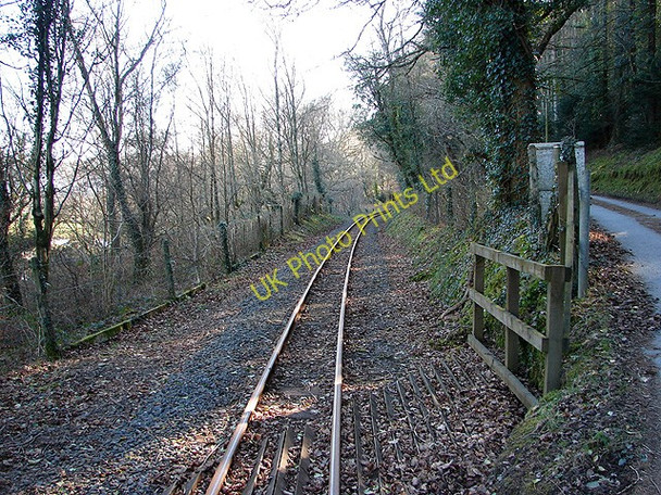 Photo 6"x4" The Vale of Rheidol Railway Capel Bangor c2008