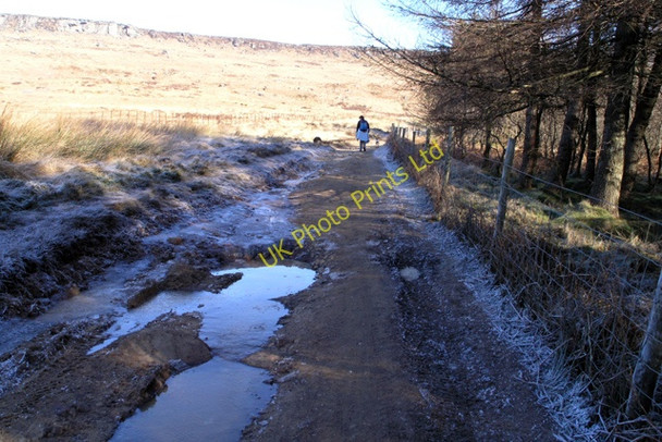 Photo 6"x4" Frozen puddles Bamford\/SK2083 c2008