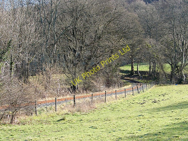 Photo 6"x4" The Vale of Rheidol Railway Nantyronen Station c2008