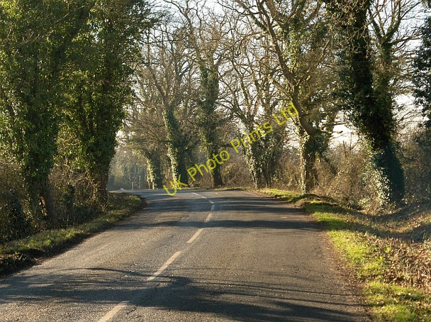 Photo 6"x4" Road at Dunsden Green Binfield Heath c2008