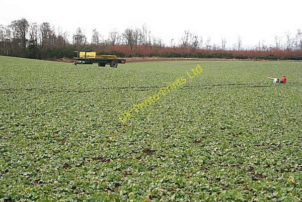 Photo 6"x4" Field at Burnside of Tulloes Whigstreet c2008