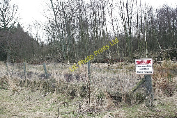 Photo 6"x4" Warning Notice Whigstreet c2008