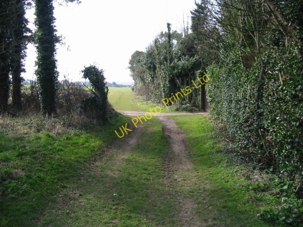 Photo 6"x4" Footpath crossroads on Sutton Down East Studdal c2008