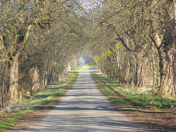 Photo 6"x4" Farm road, Lockinge Wantage c2008