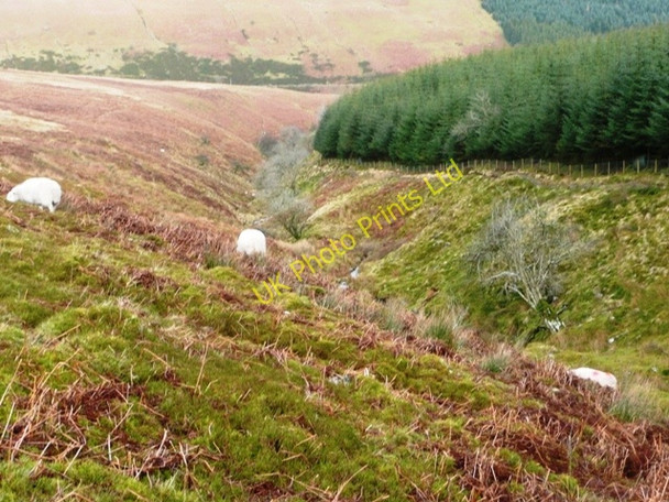 Photo 6"x4" Into Gwryne Fawr Capel-y-ffin c2008