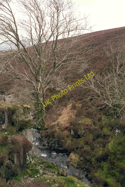 Photo 6"x4" Beside the waterfall on Barrow Beck Dale Bottom\/NY2921 c2000