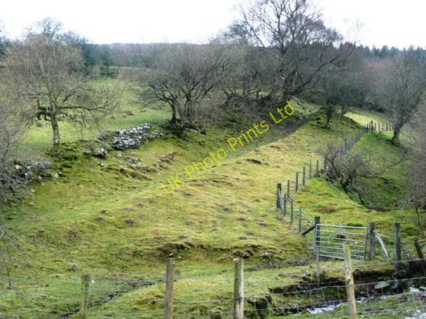 Photo 6"x4" Land near Ffawydden Llanthony c2008