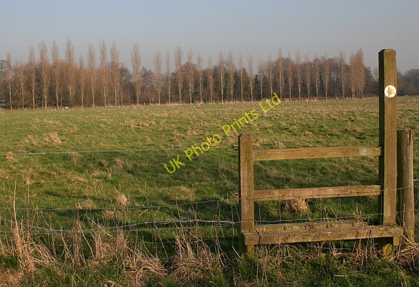 Photo 6"x4" Stile and Poplars Berrow\/SO7934 c2008