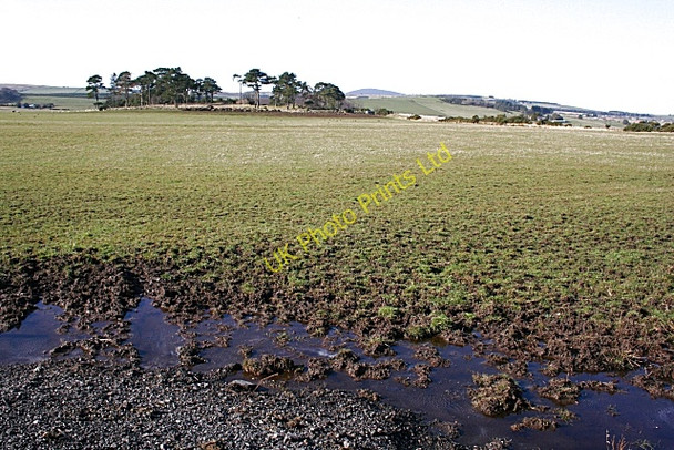 Photo 6"x4" Field at Craigiebrae Aberchirder c2008