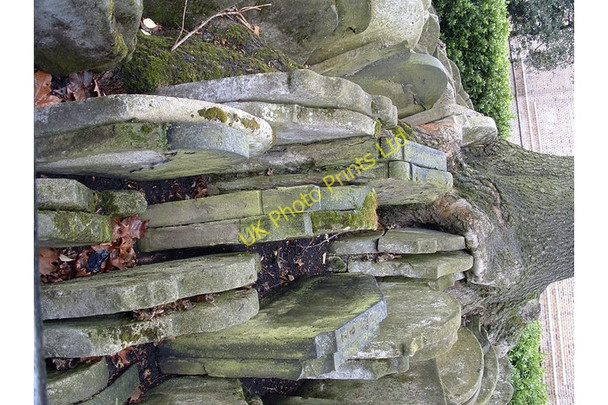 Photo 6"x4" Gravestones at base of the Hardy Tree, St Pancras Old Church, London London c2005