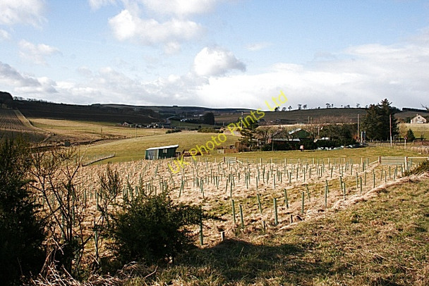 Photo 6"x4" Slack of Scotston Bogton\/NJ6751 c2008