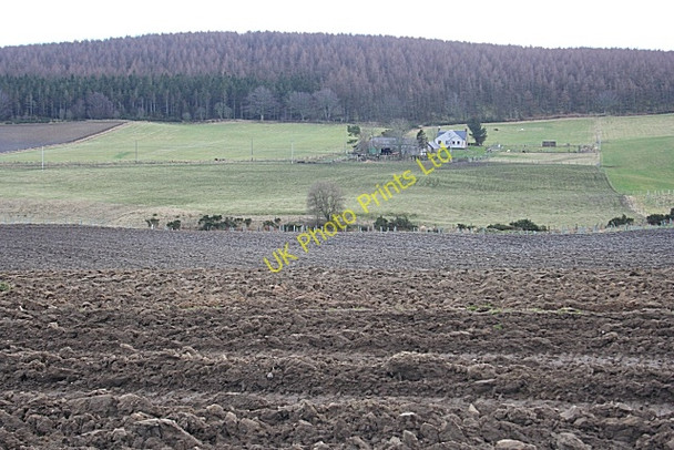 Photo 6"x4" South Boggiehead Pole of Itla c2008