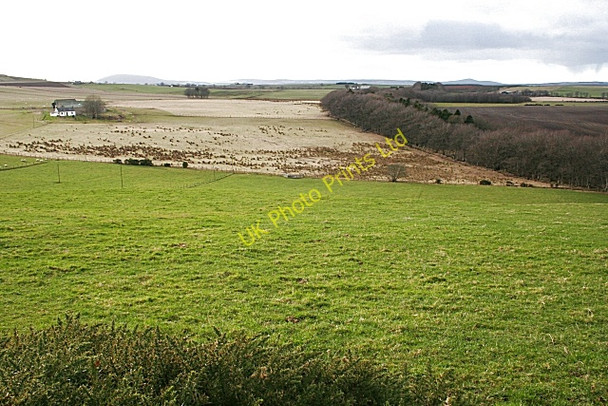 Photo 6"x4" Muiryhill from Hill of Ryland Blacklaw\/NJ6355 c2008