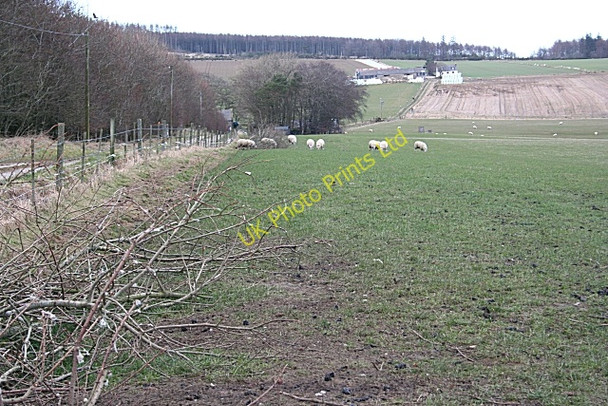 Photo 6"x4" Little Whitefield Hill of Mountblairy c2008