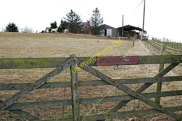 Photo 6"x4" Little Cooperhill Blacklaw\/NJ6355 c2008