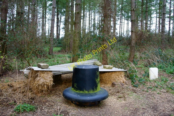 Photo 6"x4" Pheasant feeding station  by Up End track Lower Green\/TL4233 c2008