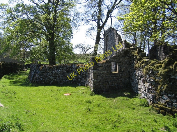 Photo 6"x4" Ruined house at Thorns and baby owl Ribble Head\/SD7779 c2007