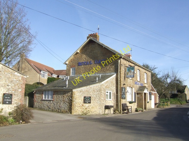 Photo 6"x4" Royal Oak, Drimpton Drimpton c2008