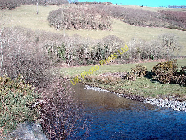 Photo 6"x4" Beside the Rheidol Aberffrwd\/SN6878 c2008