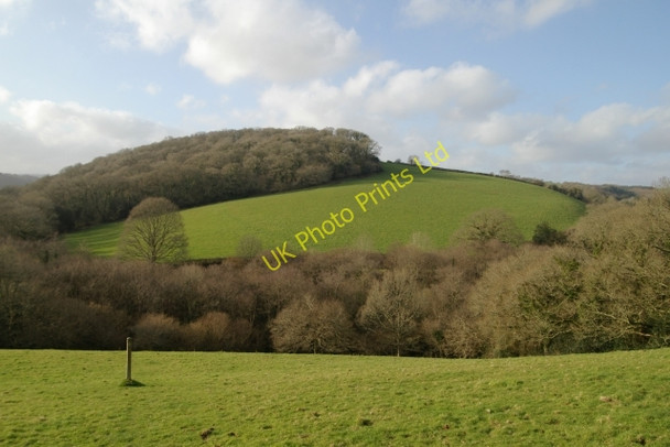 Photo 6"x4" Fields and Tor Wood Polborder c2008