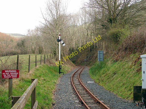 Photo 6"x4" The view eastwards from Aberffrwd level crossing, Vale of Rheidol Railway Aberffrwd\/SN6878 c2008