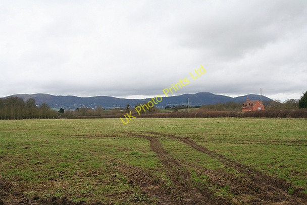 Photo 6"x4" Meadow near Duckswich Duckswich c2008