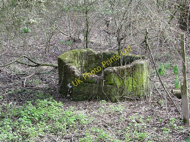 Photo 6"x4" What is this? Ashleworth c2008