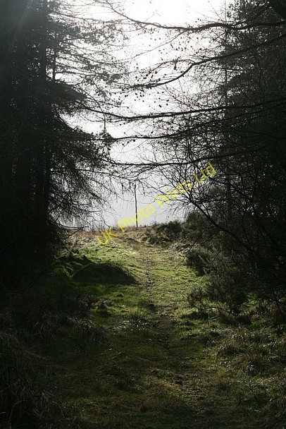 Photo 6"x4" Blawath Road (2) Stape c2008