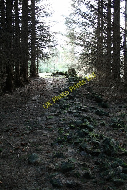 Photo 6"x4" Ruined Drystone Wall on Esp Rigg Stape c2008