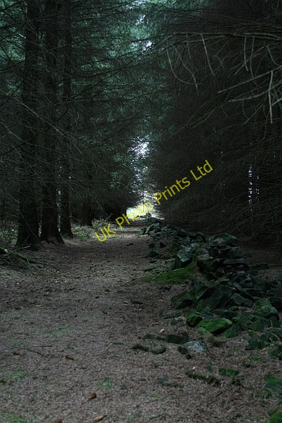 Photo 6"x4" Ruined Drystone Wall on Esp Rigg (2) Stape c2008