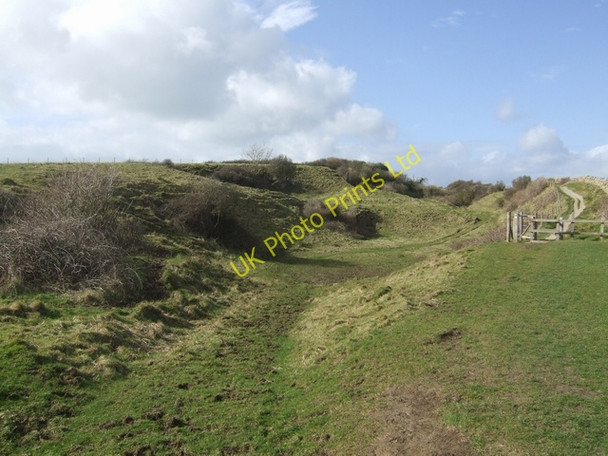 Photo 6"x4" Limestone quarry on West Cliff Bridport c2008
