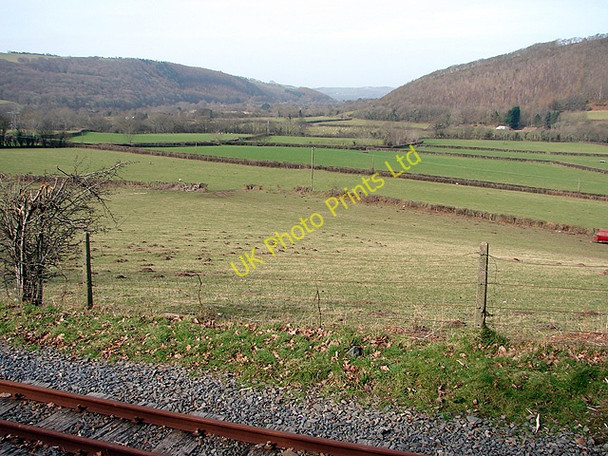 Photo 6"x4" The Rheidol Valley Nantyronen Station c2008