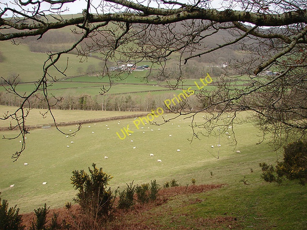 Photo 6"x4" Farmland to the west of Aberffrwd Aberffrwd\/SN6878 c2008