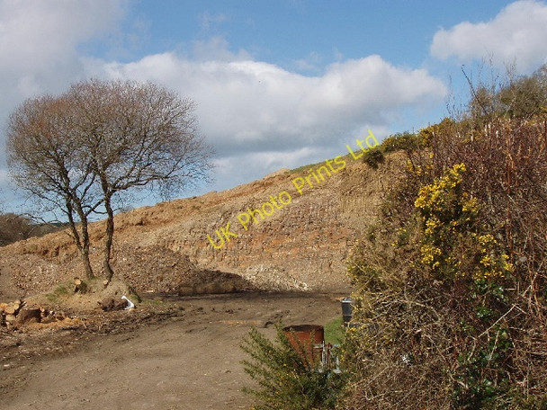 Photo 6"x4" Quarry below Little Dinnicoombe Jacobstow c2008