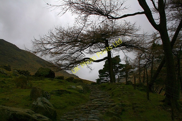 Photo 6"x4" Bridleway and Trees by Styhead Gill Seathwaite\/NY2312 c2008