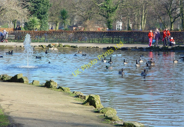 Photo 6"x4" The Lake, Pearson Park Kingston upon Hull c2008