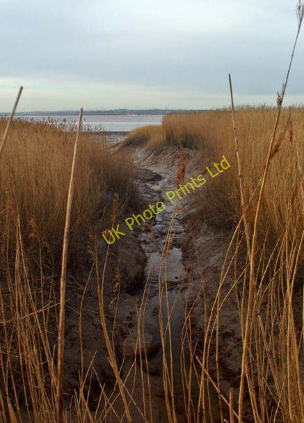 Photo 6"x4" Elloughton Clough Brough\/SE9326 c2008